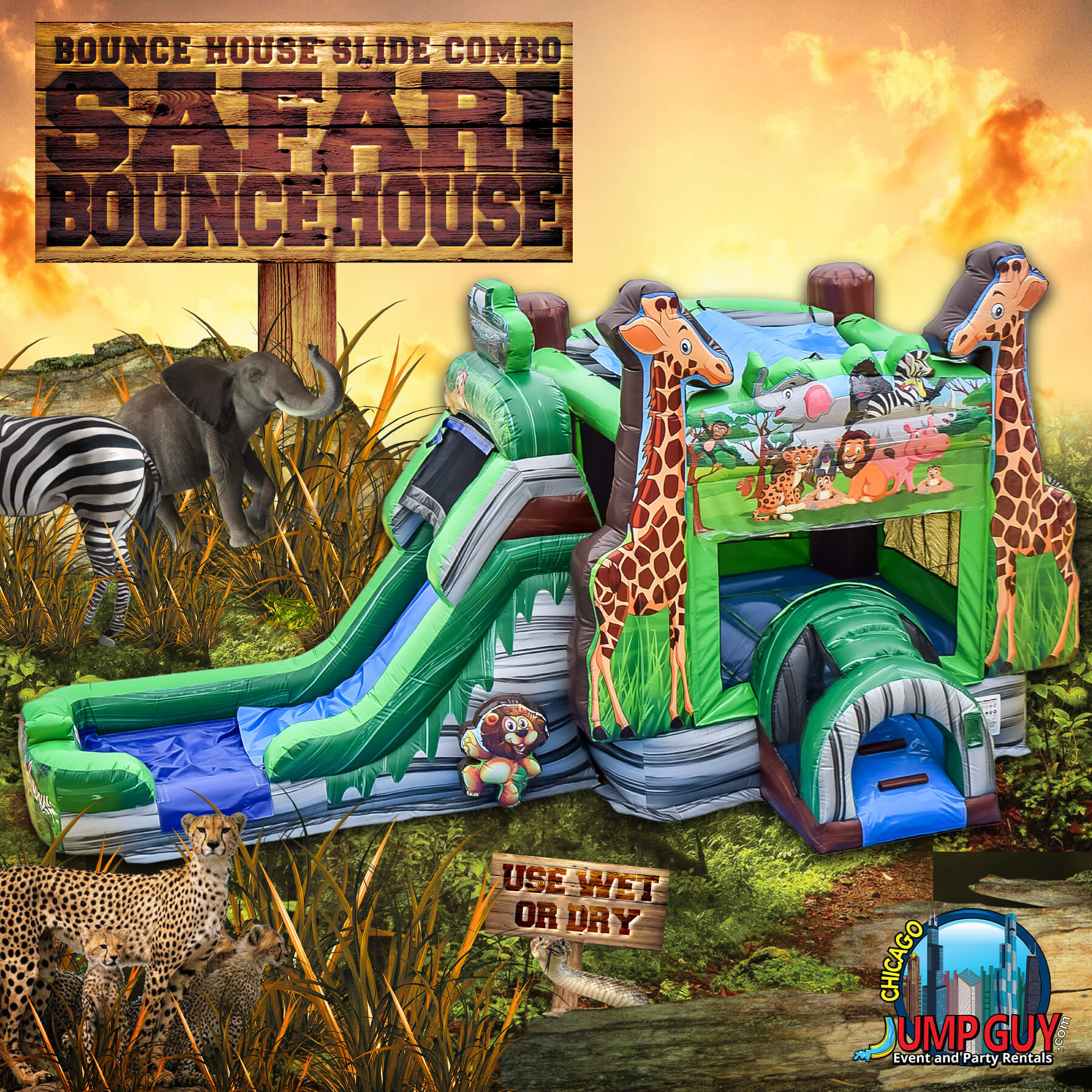 Safari bounce house and slide combo inflatable rental for Downers Grove IL party events across ZIP codes 60515 and 60516